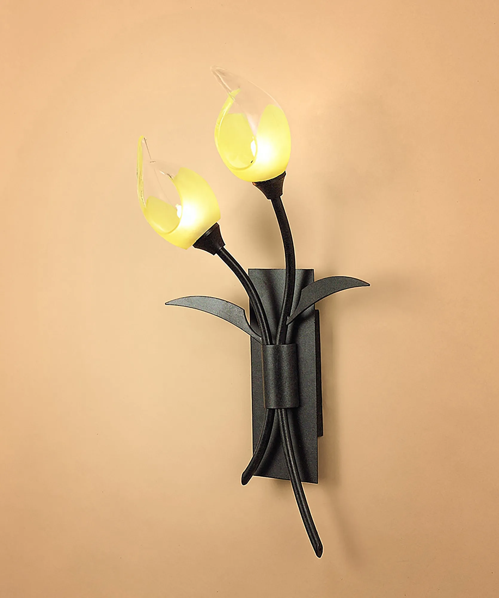 Holland Wall Lights Mantra Armed Wall Lights